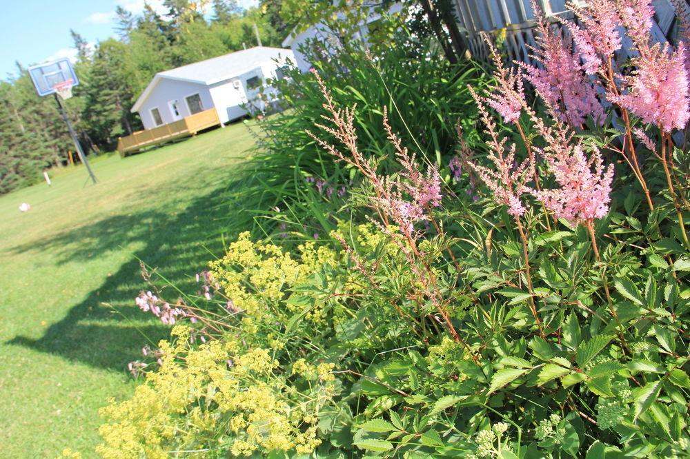 Hidden Acres Cottages Cavendish Exterior photo